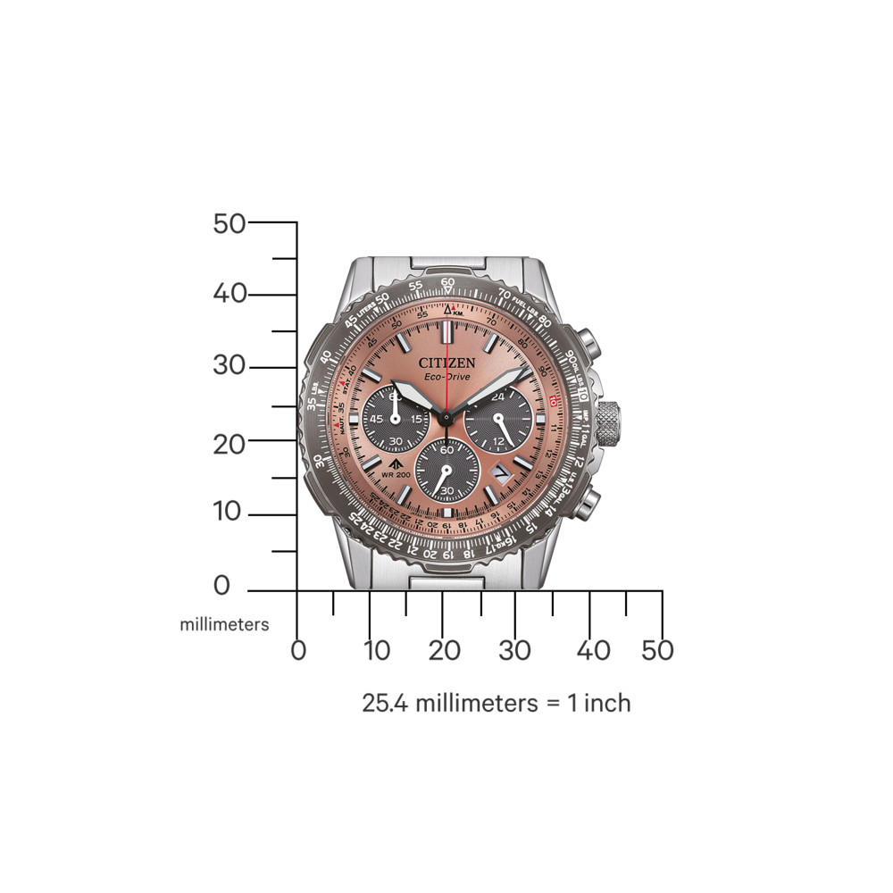 CA4664-60X Homme Acier inoxydable marron ⌀ 40mm