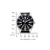 NB6021-17E Promaster Fujitsubo Mechanical Diver