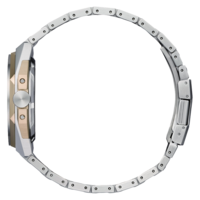 Gros plan sur le côté d'une montre bracelet en argent et or.