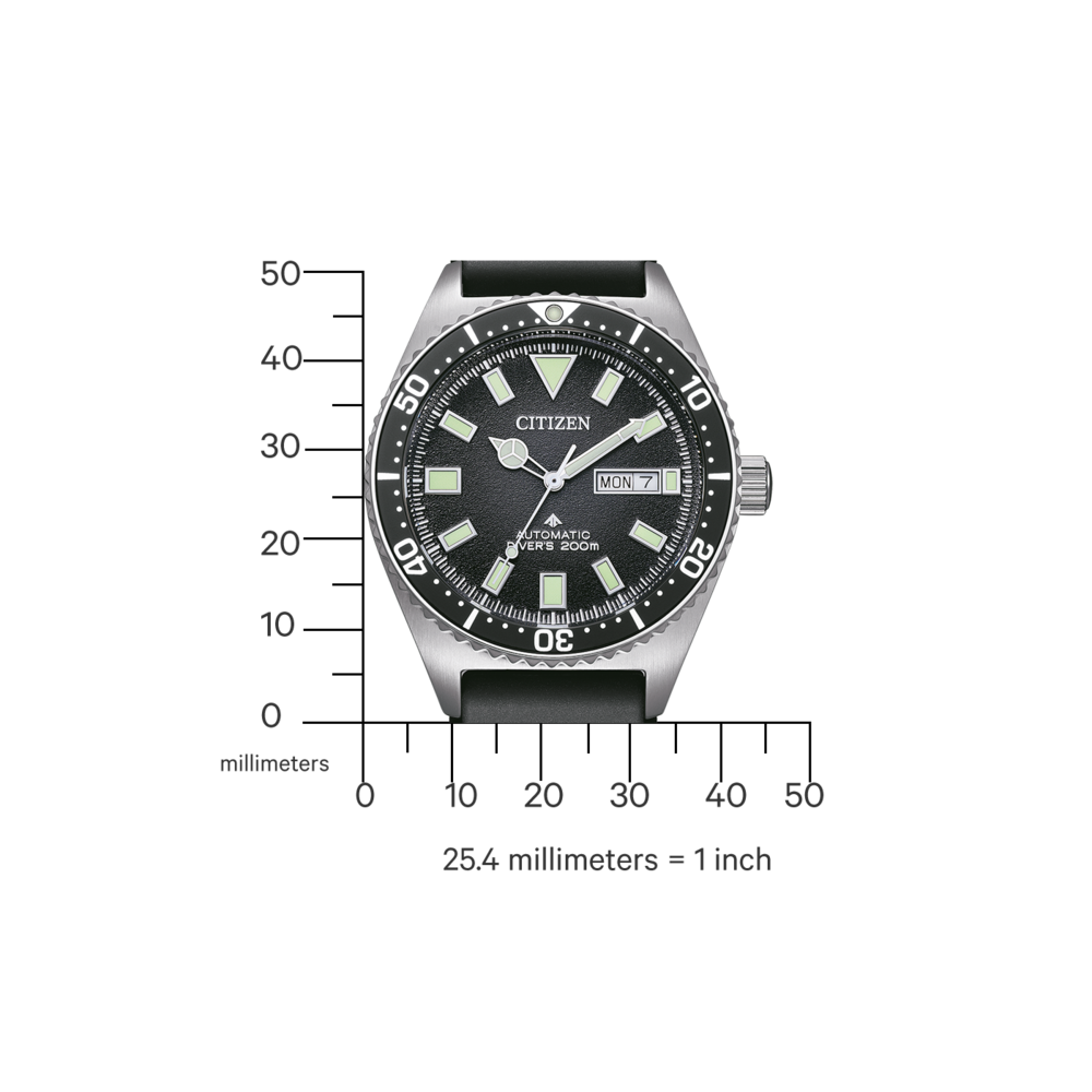 NY0120-01EE PROMASTER Mechanical Diver