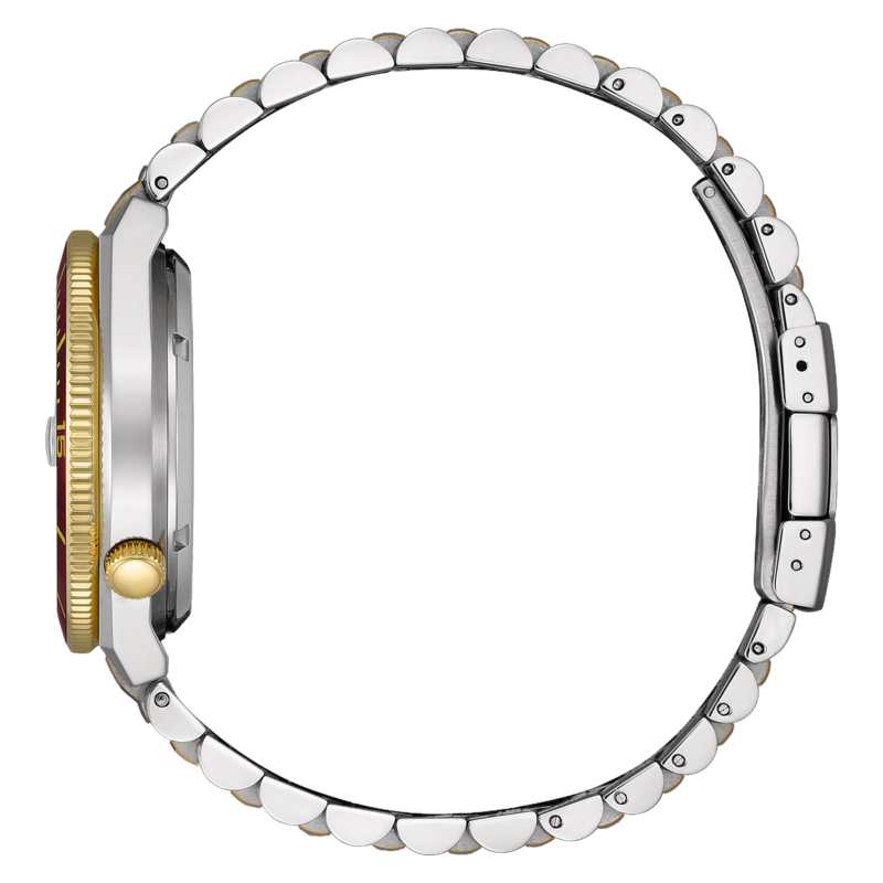 NJ0234-58X Homme Acier inoxydable Rouge ⌀ 40mm