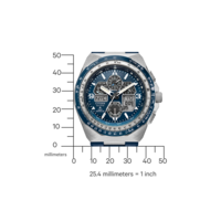 JY8148-08L Promaster Skyhawk