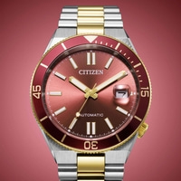 NJ0234-58X Homme Acier inoxydable Rouge ⌀ 40mm