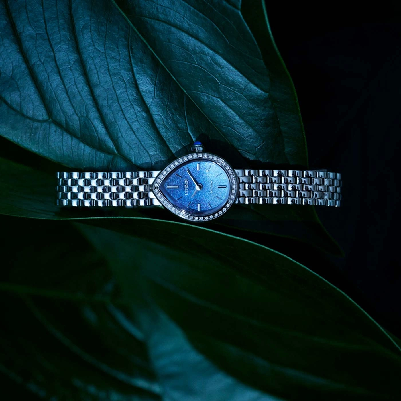 Eine elegante Citizen-Uhr auf üppigen grünen Blättern.
