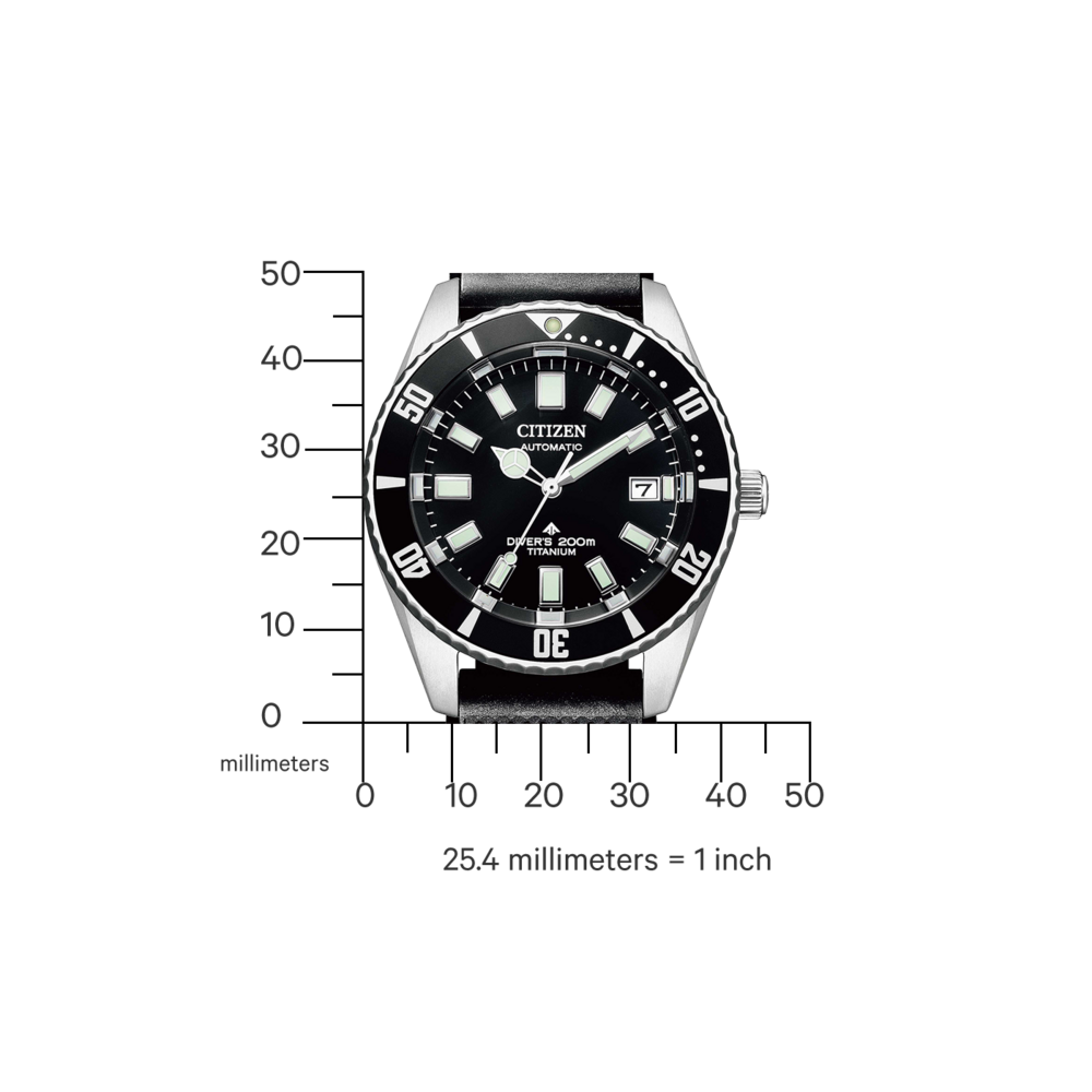NB6021-17E Promaster Fujitsubo Mechanical Diver