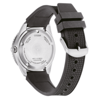 NB6021-17E Promaster Fujitsubo Mechanical Diver