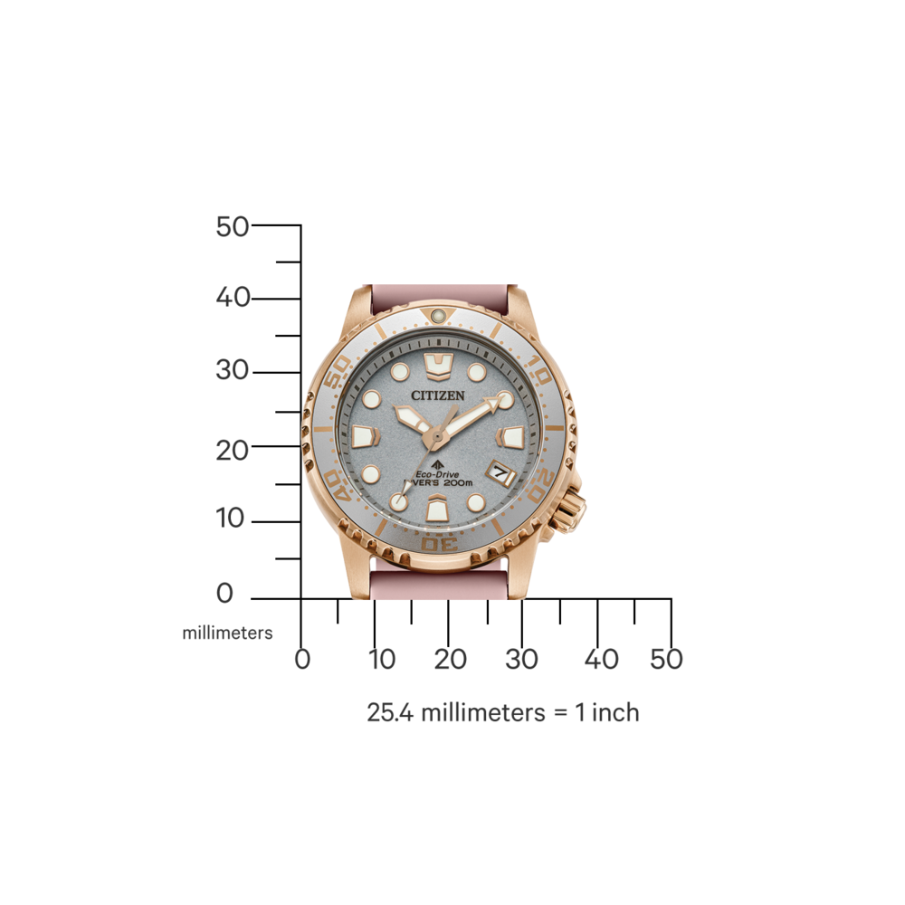 EO2023-00A Promaster Eco-Drive Diver