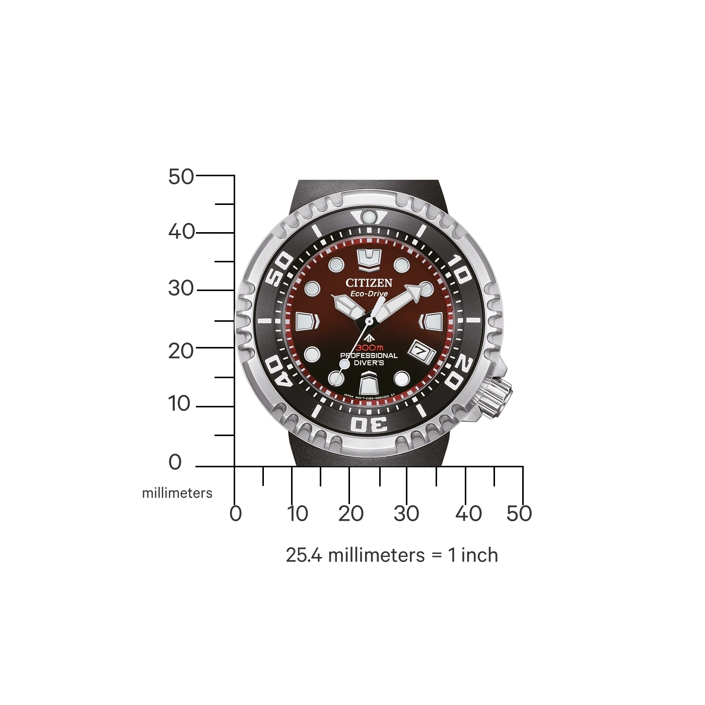 Montre Citizen Eco-Drive professionnelle pour plongeur, affichée avec une échelle millimétrique.