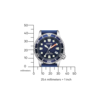 EO2021-05L Promaster Eco-Drive Diver