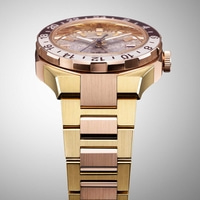 Montre en or avec une lunette marron et blanche et un bracelet doré.