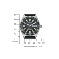 NY0120-01EE PROMASTER Mechanical Diver