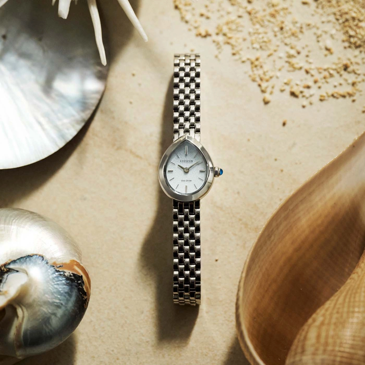 Une montre Citizen Eco-Drive sur fond de coquillages et de sable.