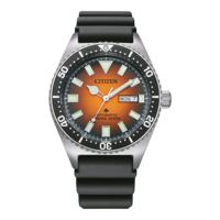 NY0120-01ZE PROMASTER Mechanical Diver